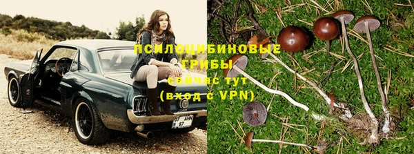каннабис Ельня