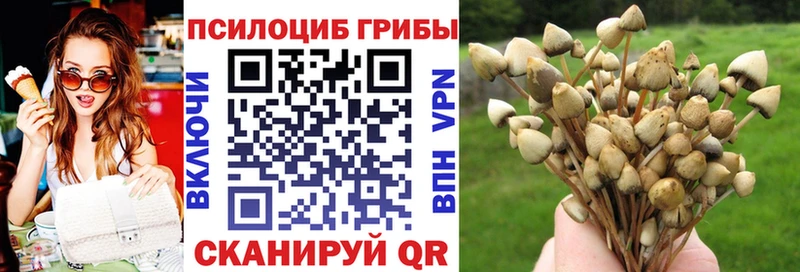 Псилоцибиновые грибы прущие грибы  Купить  Калач-на-Дону 
